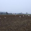 img_4553_000.jpg