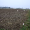 img_4558_000.jpg