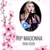 madonna.jpg