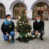 smreka_004.jpg