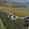 domacija_in_vinogradi__2_.jpg