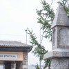 dsc_6050.jpg