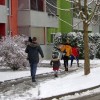 sneg_011.jpg