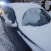 sneg_0312203.jpg