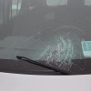 sneg_0312205.jpg