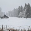 20201208_110220.jpg