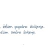 td_lepe_misli_1.jpg