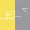 PANTONE 17-5104 Ultimate Gray + PANTONE 13-0647 Illuminating.jpg