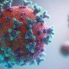 virus_copy.jpg