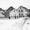 ajdovo_zrno_s_skubcovo_hivo_v_casu_2_vojne.jpg