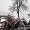 sneg, 25.12..jpg