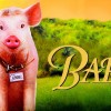 babe1.jpg