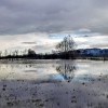 img_20201229_113729.jpg