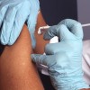 cepljenje_arhiv_dl.jpg