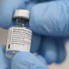 cepljenje_arhiv_dl1.jpg