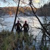 negovsko-jezero, poginuli-labod