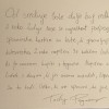 tadejpogacar.jpg