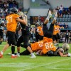 Domžale Tigers
