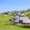 Velika planina