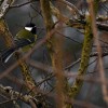 dsc_8515__1_.jpg