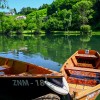 _zzzzkrka.jpg