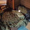 droga, konoplja, metlika