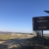 IMG_8595.JPG