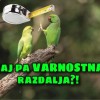 aaaaaaaaaaaaaaaaaaaaaaa.jpg