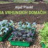 _zzzzzvzgoja.jpg