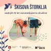 _zzzzzskis__0_.jpg