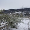 img_5209_000.jpg