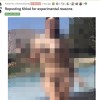khloe.png