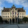 Univerza-v-Ljubljani-izrez.jpg