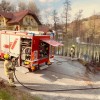 požar, živa-meja, hercegovščak