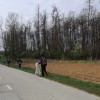občina-velika-polana, zeleni-teden