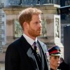 princ harry 1.jpg