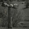 01_dragica_cadez__simbol_t__forma_viva__kostanjevica_na_krki__1966__foto_janez_kalisnik.jpg