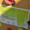 _voscenka__1_.jpg