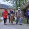 serdica, čebelji-gradič, andrej-kisilak