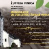_zzzzvinica.jpg
