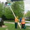 mlaj, postavljanje-mlaja, trg-zmage, murska-sobota