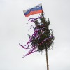 mlaj, postavljanje-mlaja, trg-zmage, murska-sobota