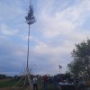 mlaj, postavljanje-mlaja, mali-šalovci
