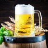 Pixabay carolineandrade Pivo.jpg