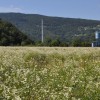 Sončna elektrarna Prapretno