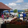 imgp2573_000.jpg