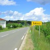 šalovci