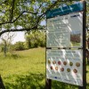 kozjanski_park_slavnostna_prireditev_ob_40_letnici_2021_68.jpg