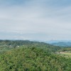 kozjanski_park_slavnostna_prireditev_ob_40_letnici_2021_86.jpg