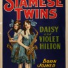 Daisy in Violet Hilton 3 pinterst.jpg